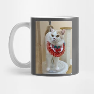 the handsome white cats Mug